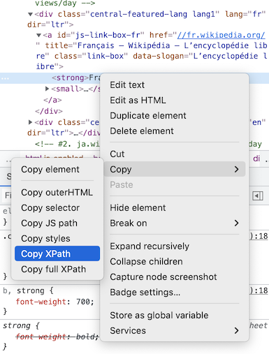 Screenshot web developer tools